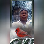 vemy, online dating photo