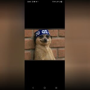 vicktor1, online dating profile photo